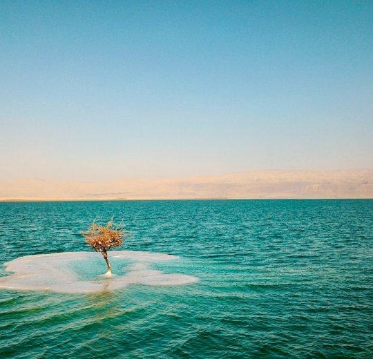 Туры на Мертвое море (Израиль) 2025 - цены на путевки в Израиль из Москвы от туроператора Tez Tour