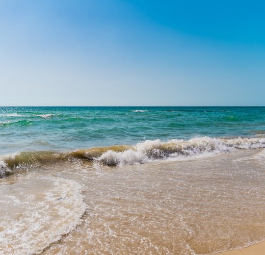 Туры в Нетанию 2025 - цены на путевки в Израиль из Москвы от туроператора Tez Tour