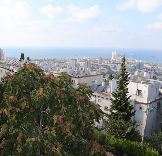 Туры в Хайфу 2025 - цены на путевки в Израиль из Москвы от туроператора Tez Tour