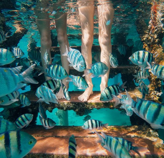 Туры в Эйлат 2025 - цены на путевки в Израиль из Москвы от туроператора Tez Tour