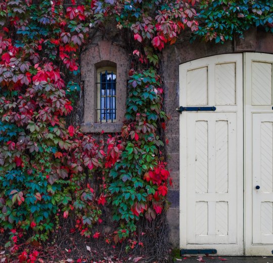 Туры в Айя-Напу 2025 - цены на путевки на Кипр из Москвы от туроператора Tez Tour