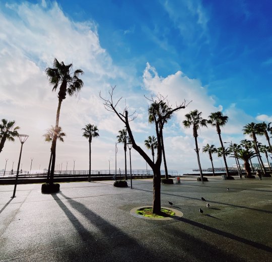 Туры в Лимассол 2025 - цены на путевки на Кипр из Москвы от туроператора Tez Tour