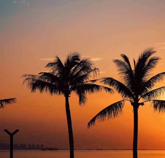 Туры на о.Хайнань 2025 - цены на путевки в Китай из Москвы от туроператора Tez Tour