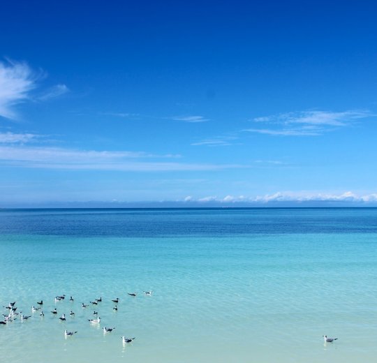 Туры в Варадеро 2025 - цены на путевки на Кубу из Москвы от туроператора Tez Tour