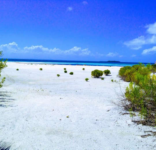 Туры в Варадеро 2025 - цены на путевки на Кубу из Москвы от туроператора Tez Tour