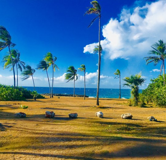 Туры на о. Кайо Гильермо 2025 - цены на путевки на Кубу из Москвы от туроператора Tez Tour