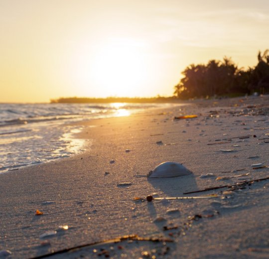 Туры на о. Кайо Коко 2025 - цены на путевки на Кубу из Москвы от туроператора Tez Tour