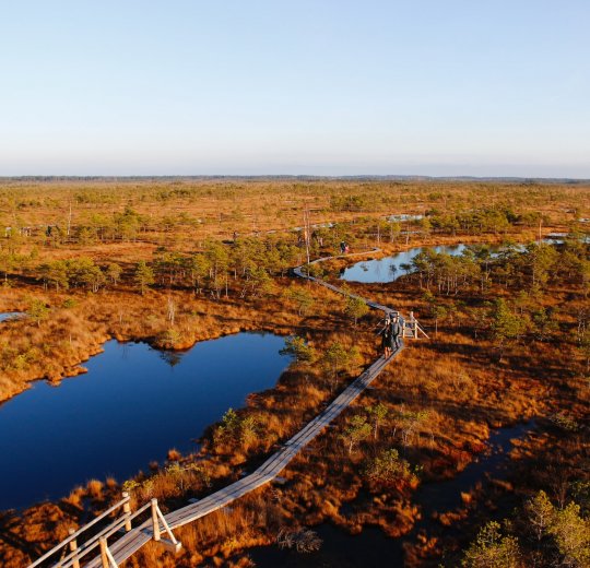 Туры в Юрмалу 2025 - цены на путевки в Латвию из Москвы от туроператора Tez Tour