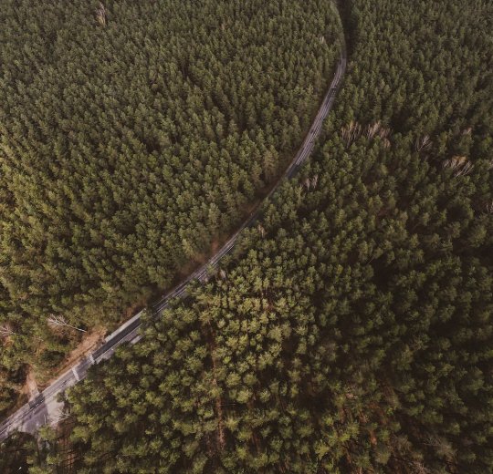 Туры в Вильнюс 2025 - цены на путевки в Литву из Москвы от туроператора Tez Tour