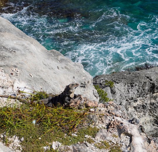 Туры на Исла Мухерес (о.Женщин) 2025 - цены на путевки в Мексику из Москвы от туроператора Tez Tour