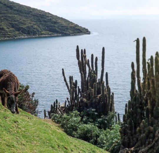 Туры на Исла Мухерес (о.Женщин) 2025 - цены на путевки в Мексику из Москвы от туроператора Tez Tour