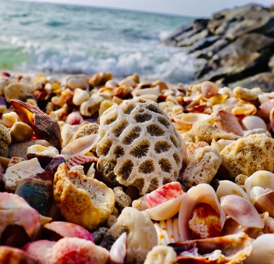 Туры в Аджман 2025 - цены на путевки в ОАЭ из Москвы от туроператора Tez Tour