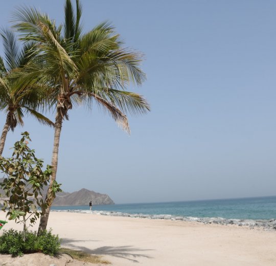 Туры в Корфаккан 2025 - цены на путевки в ОАЭ из Москвы от туроператора Tez Tour