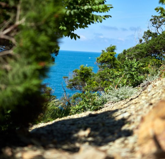 Туры в Геленджик 2025 - цены на путевки в Россию из Москвы от туроператора Tez Tour