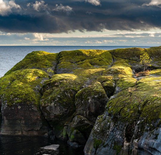 Туры в Карелию 2025 - цены на путевки в Россию из Москвы от туроператора Tez Tour