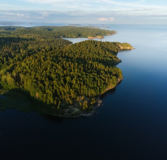 Туры в Карелию 2025 - цены на путевки в Россию из Москвы от туроператора Tez Tour