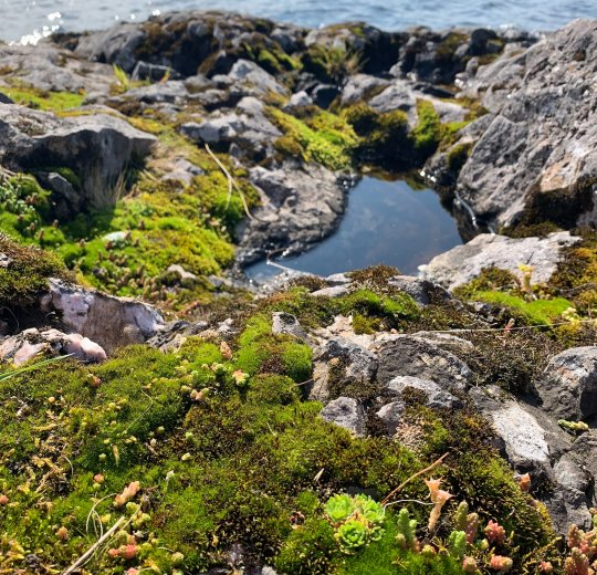 Туры в Петрозаводск 2025 - цены на путевки в Россию из Москвы от туроператора Tez Tour