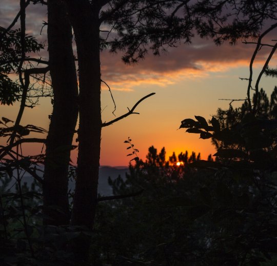 Туры в Пятигорск 2025 - цены на путевки в Россию из Москвы от туроператора Tez Tour