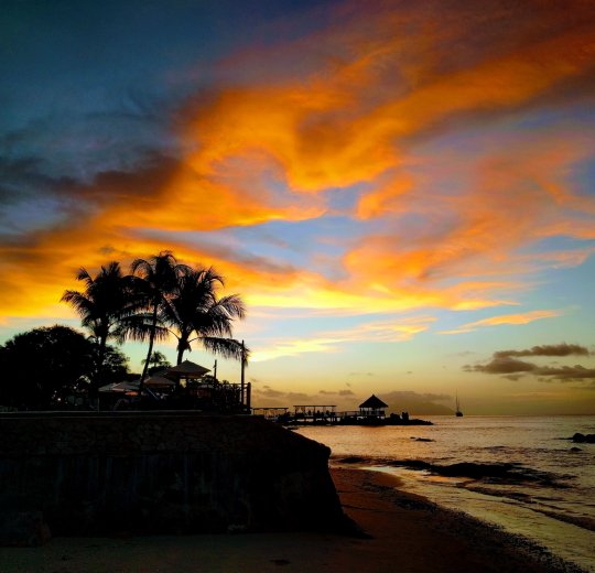 Туры на о. Денис 2025 - цены на путевки на Сейшелы из Москвы от туроператора Tez Tour