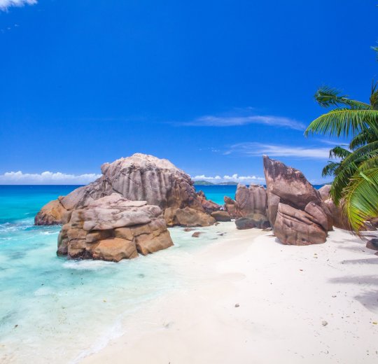 Туры на о. Денис 2025 - цены на путевки на Сейшелы из Москвы от туроператора Tez Tour