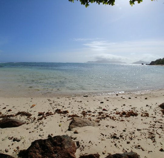 Туры на о. Святой Анны 2025 - цены на путевки на Сейшелы из Москвы от туроператора Tez Tour