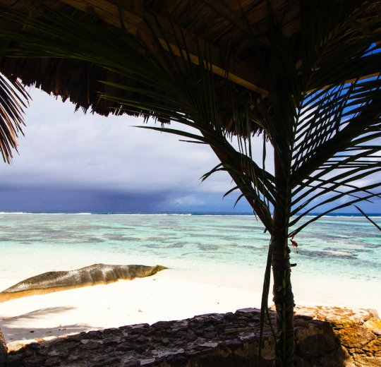 Туры на о. Святой Анны 2025 - цены на путевки на Сейшелы из Москвы от туроператора Tez Tour