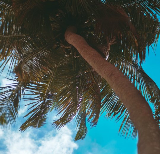 Туры на о. Ла Диг 2025 - цены на путевки на Сейшелы из Москвы от туроператора Tez Tour