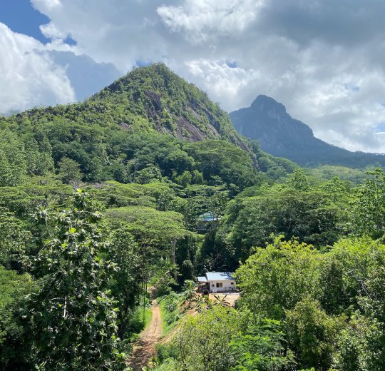 Туры на о. Ла Диг 2025 - цены на путевки на Сейшелы из Москвы от туроператора Tez Tour