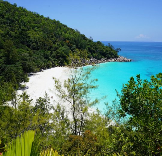 Туры на о. Праслин 2025 - цены на путевки на Сейшелы из Москвы от туроператора Tez Tour Туры на о. Праслин 2025 - цены на путевки на Сейшелы из Москвы от туроператора Tez Tour