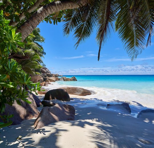 Туры на о. Праслин 2025 - цены на путевки на Сейшелы из Москвы от туроператора Tez Tour Туры на о. Праслин 2025 - цены на путевки на Сейшелы из Москвы от туроператора Tez Tour