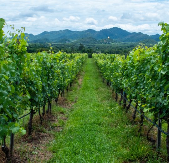 Туры в Хуа Хин 2025 - цены на путевки в Таиланд из Москвы от туроператора Tez Tour