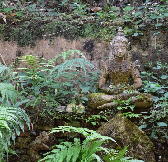 Туры в Чиангмай 2025 - цены на путевки в Таиланд из Москвы от туроператора Tez Tour