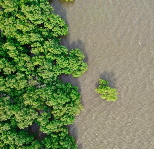 Туры на о. Чанг 2025 - цены на путевки в Таиланд из Москвы от туроператора Tez Tour