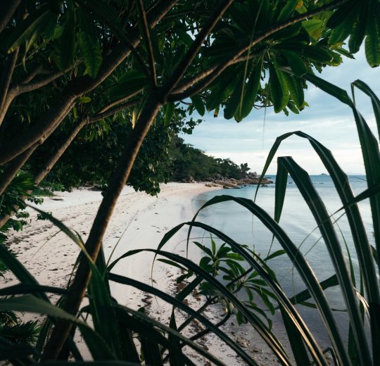 Туры в Ко Панган 2025 - цены на путевки в Таиланд из Москвы от туроператора Tez Tour