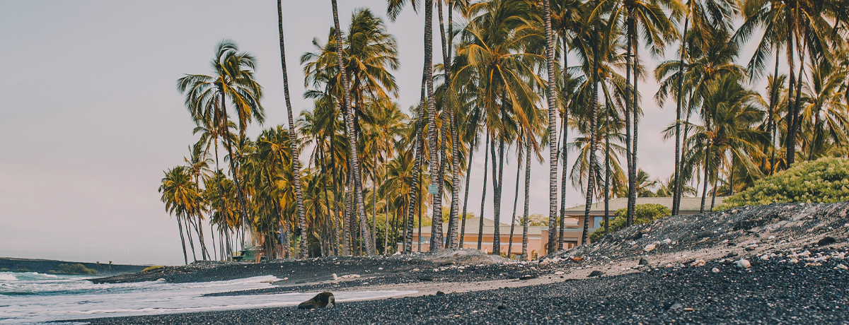 Tez Tour официальный сайт - поиск и подбор туров от Тез Тур в Москве ...